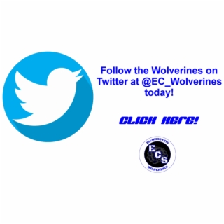 320x320 Hd Twitter Icon Png Images, Backgrounds For Free Download