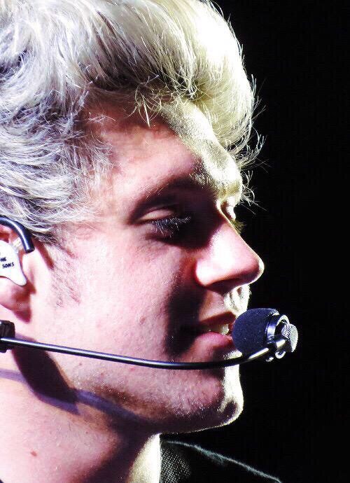 Niall Horan Icon Images 500x690 Niall Horan Icon Images