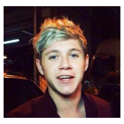 Niall Icons Images 500x500 Niall Icons Images