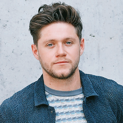 Niall Horan Icon at Vectorified.com | Collection of Niall Horan Icon ...