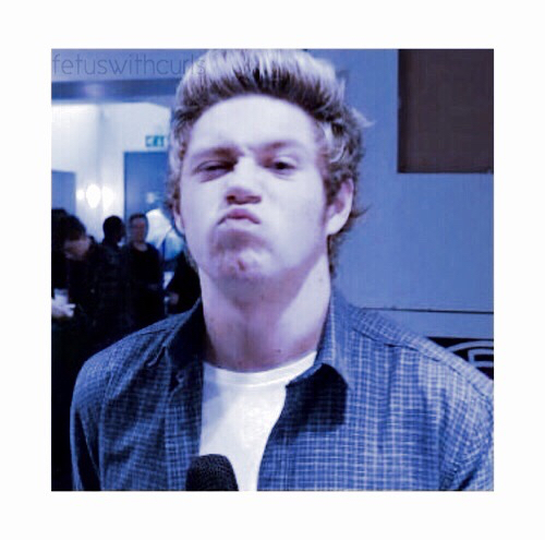 Niall Horan Shared 500x495 Niall Horan Shared