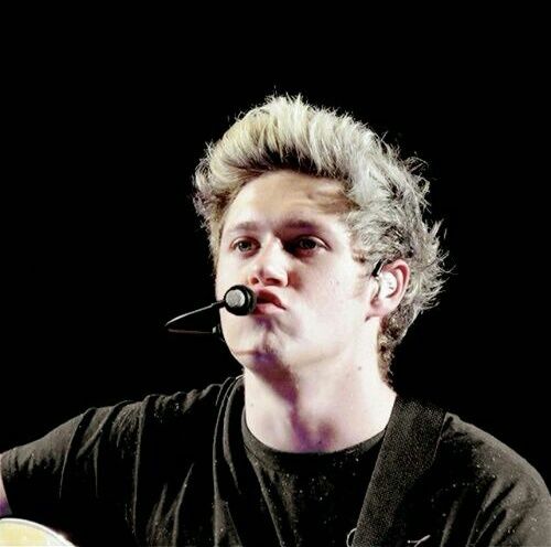Niall Horan Icon 500x496 Niall Horan Icon