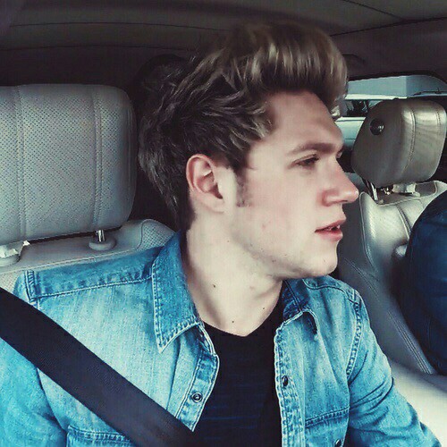 Niall Horan Icon 500x500 Niall Horan Icon