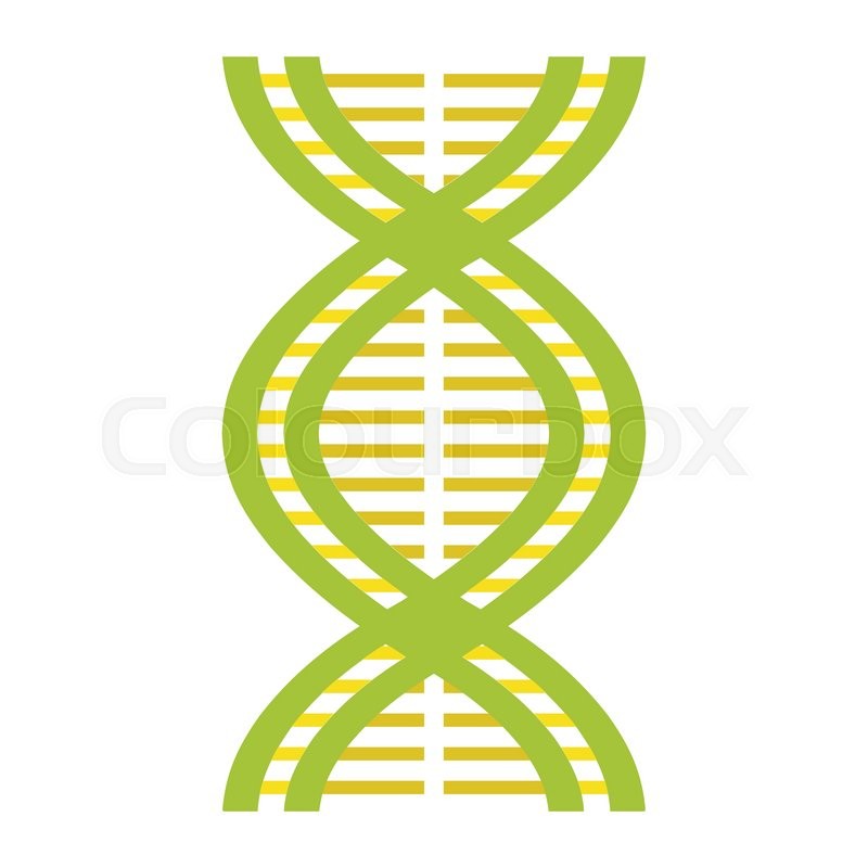800x800 Nice Dna And Molecule Icon Isolated On Stock Vector Colourbox