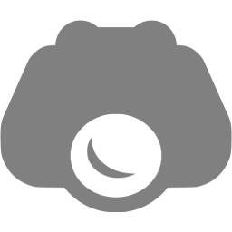 256x256 Gray Nightvision Icon