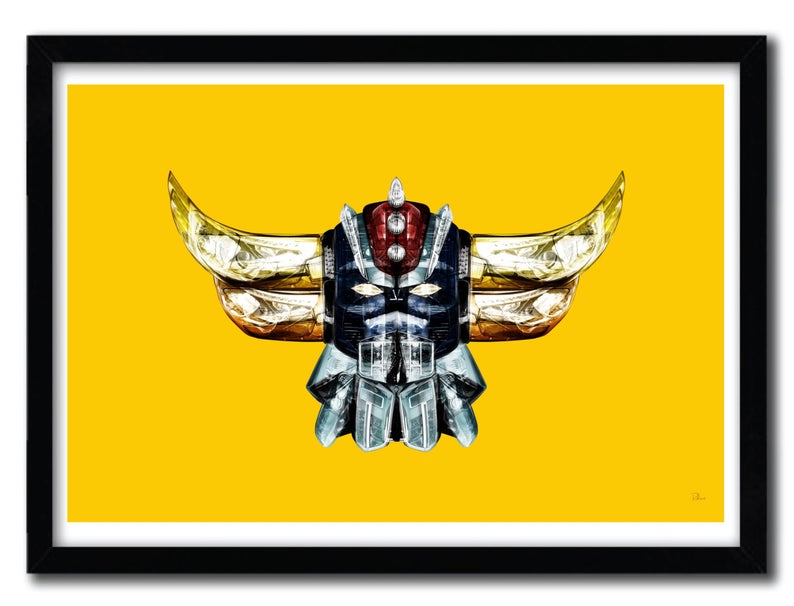 794x606 Affiche Nikon Icon