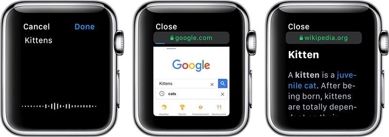 800x282 How To Browse The Internet On Apple Watch Through Watchos