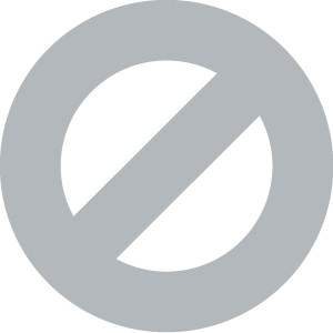 300x300 Icon Vector No