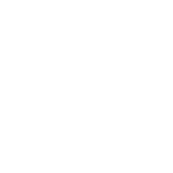 250x250 Application Delivery Controllers