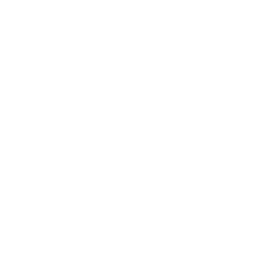 300x300 No Icon Png White Images
