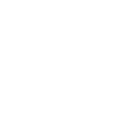 256x256 Reduce Noise White Icon