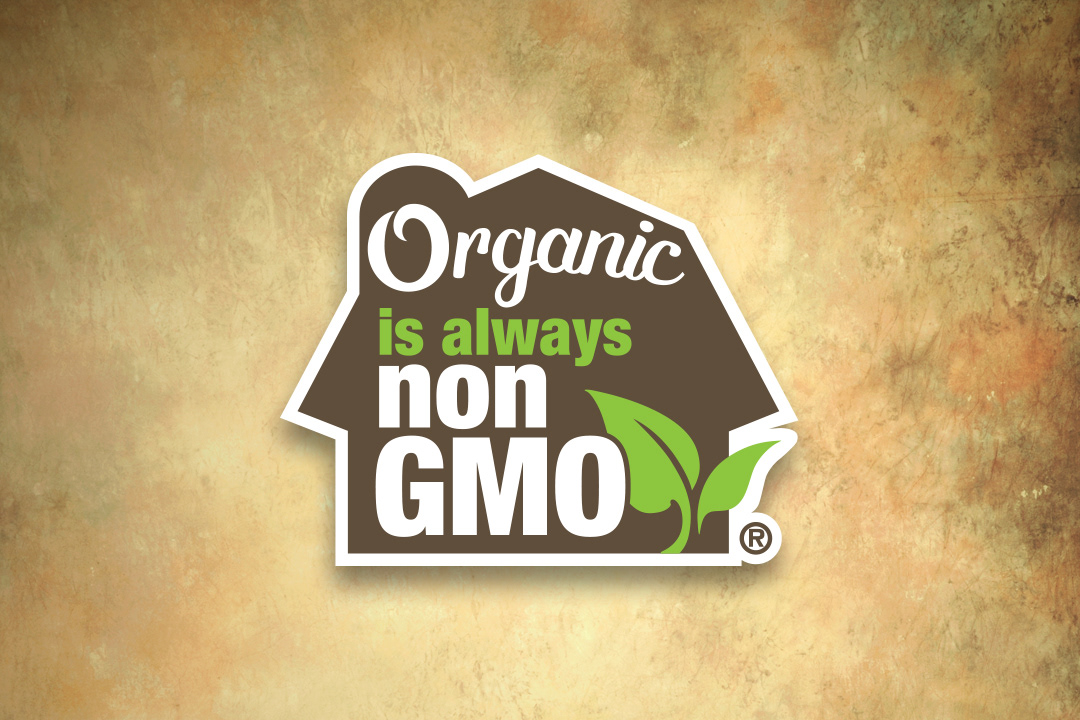 1080x720 Chuck Lacasse