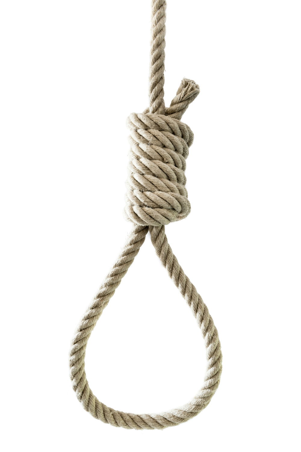 1000x1502 Photo Png Noose