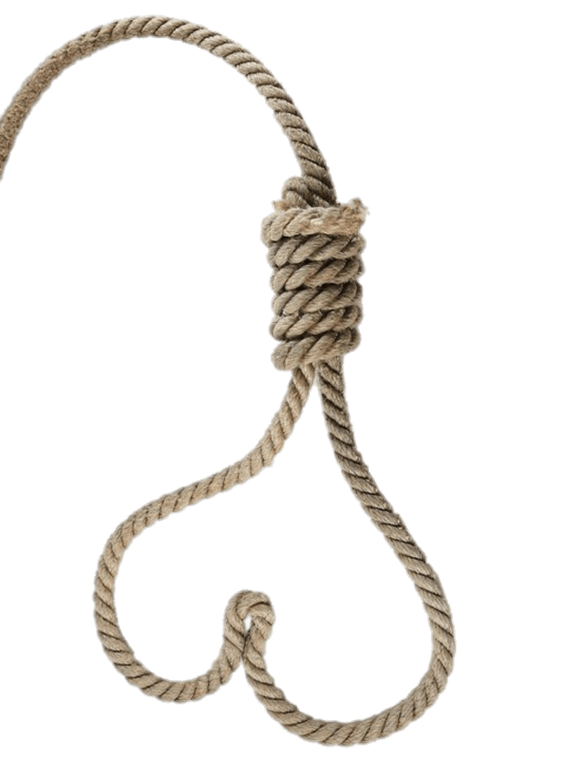618x836 Heart Shaped Noose Icons Png