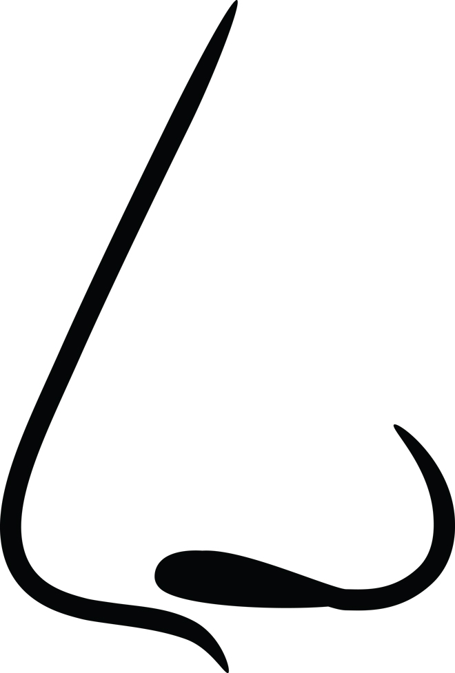 660x977 Human Nose Side View For Breathing Smelling Line Art Vector Icon