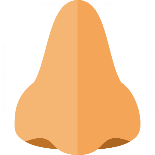 512x512 Iconexperience G Collection Nose Icon
