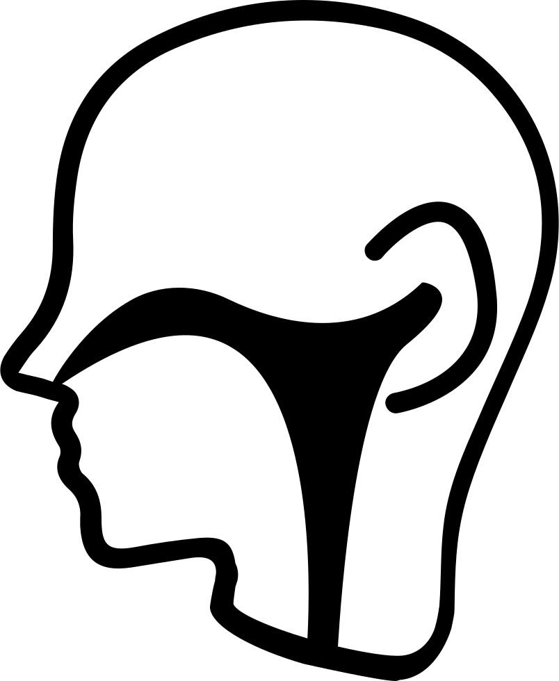 804x980 Ear Nose Throat Section Png Icon Free Download