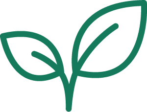 300x229 Wholesale Nursery In Brisbane Ibrox Park Nursery