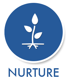 264x310 Nurtureicon