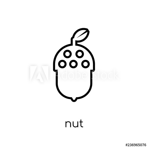 500x500 Nut Icon Trendy Modern Flat Linear Vector Nut Icon On White
