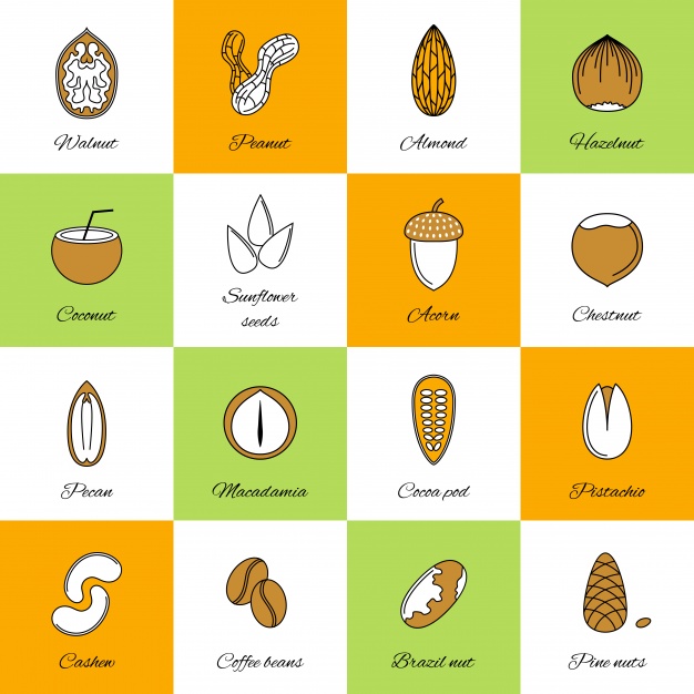 626x626 Nut Icons Collection Vector Free Download