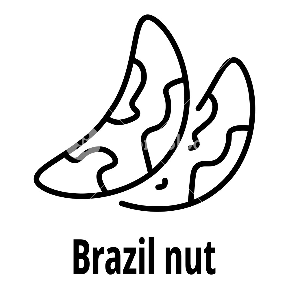1000x1000 Brazil Nut Icon Outline Brazil Nut Vector Icon For Web Design