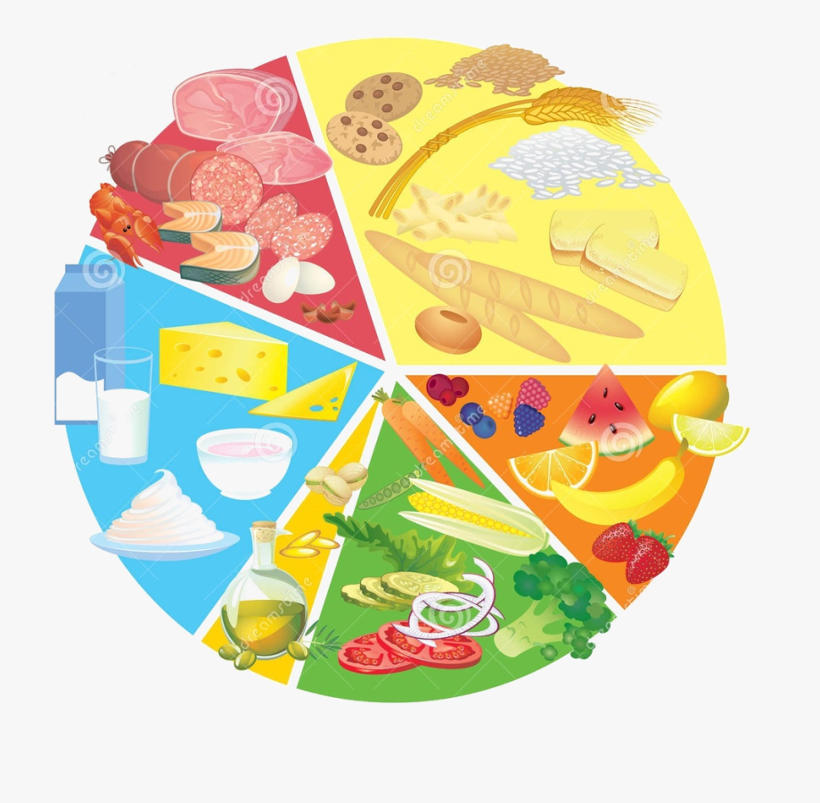 Nutrition Icon Png 920x901 Nutrition Icon Png