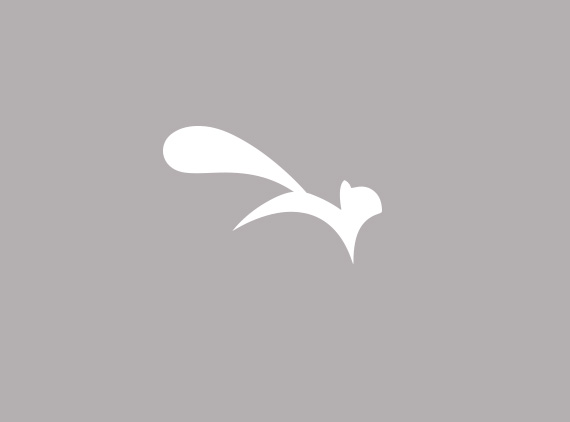 570x422 Nutshell Portions