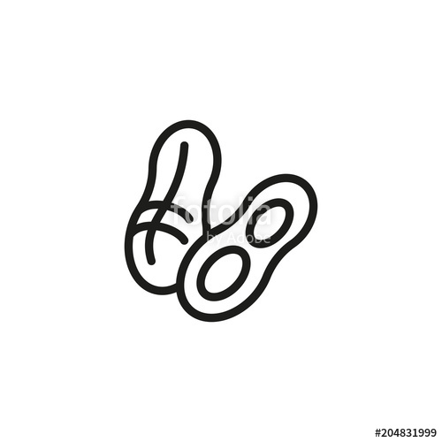 500x500 Peanut In Nutshell Icon Stock Image And Royalty Free Vector