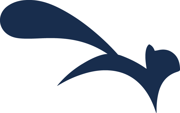 737x461 Welcome Nutshell