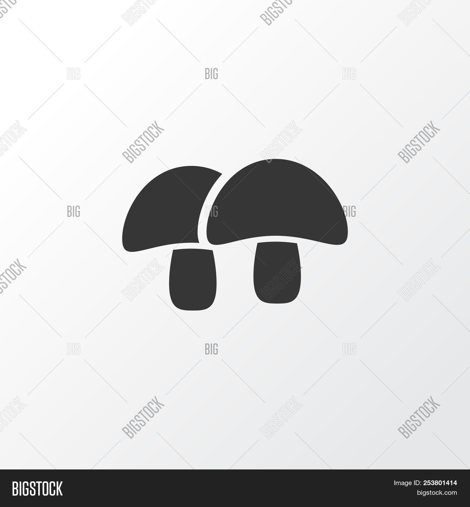 1500x1620 Acorn Icon Symbol Premium Quality Isolated Nutshell Element