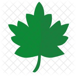 256x256 Oak Leaf Icon Of Flat Style