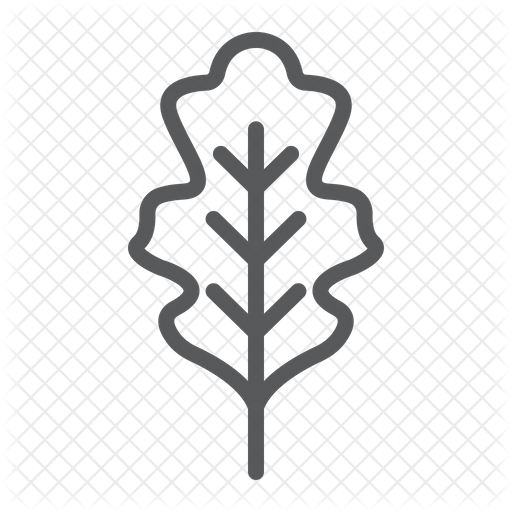 512x512 Oak Leaf Icon Of Line Style