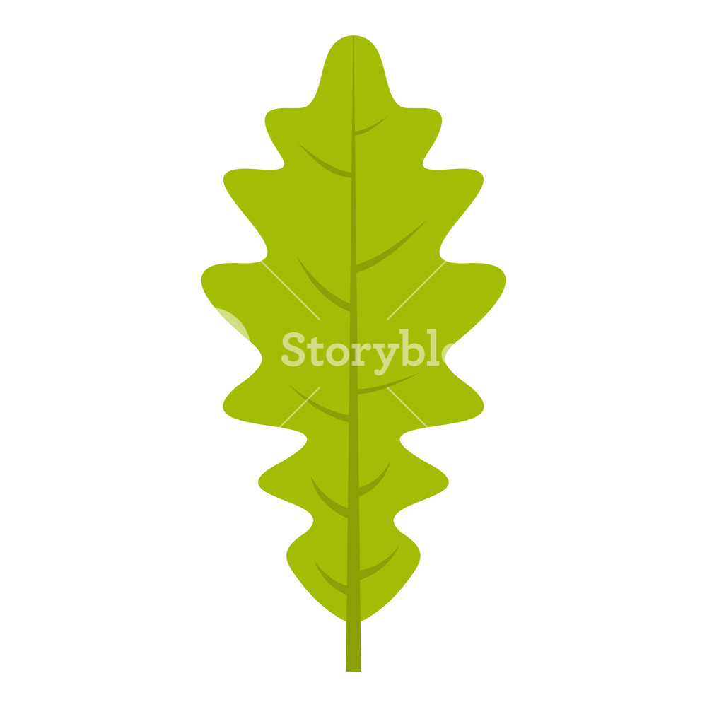 1000x1000 Green Oak Leaf Icon Flat Isolated On White Background Vector