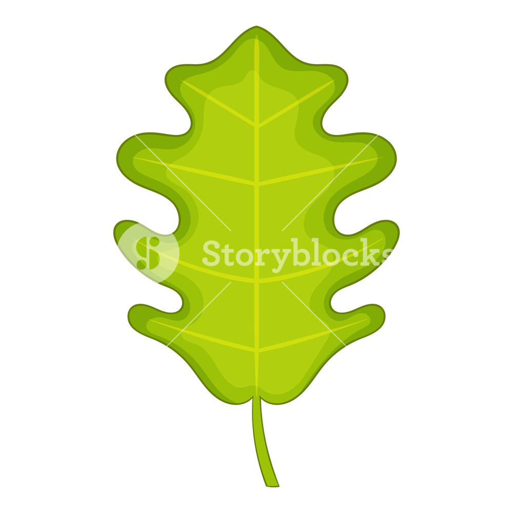 1000x1000 Oak Leaf Icon Cartoon Illustration Of Oak Leaf Vector Icon