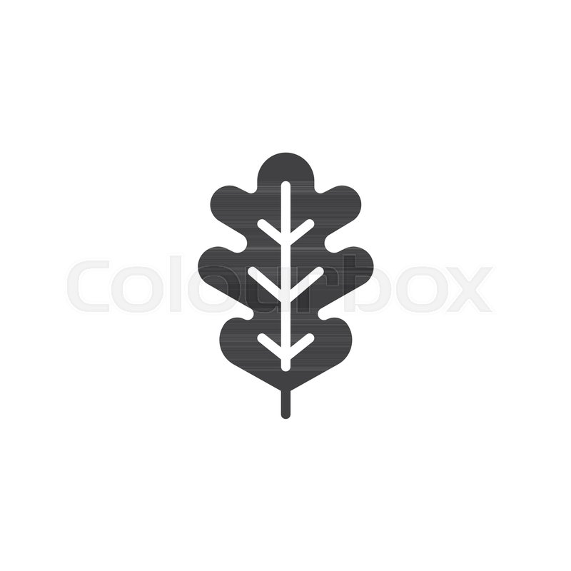 800x800 Oak Leaf Vector Icon Filled Flat Sign Stock Vector Colourbox