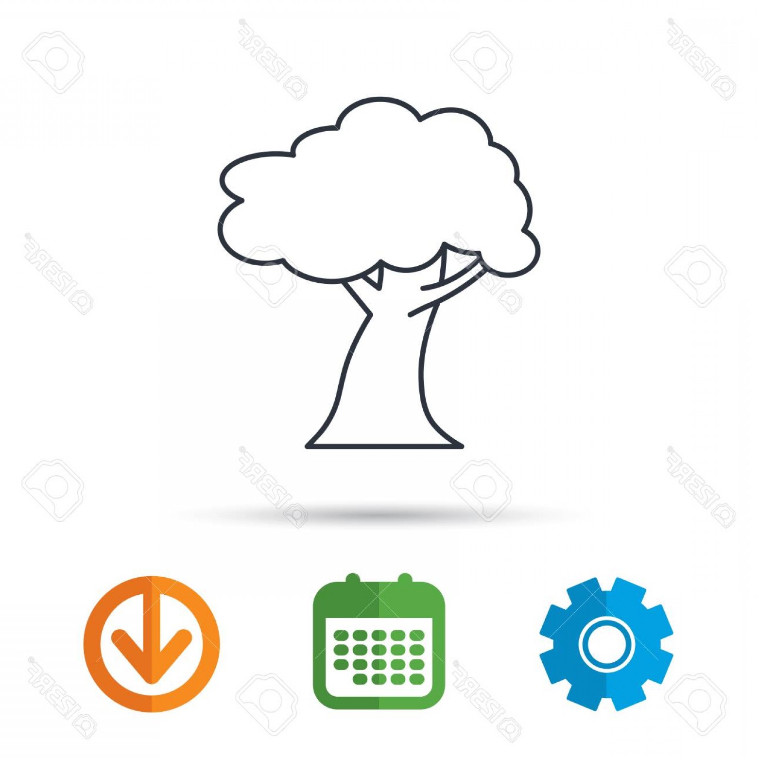 1560x1560 Photostock Vector Oak Tree Icon Forest Wood Sign Nature