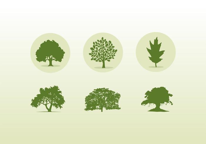 700x490 Various Oak Trees Icons And Silhouettes