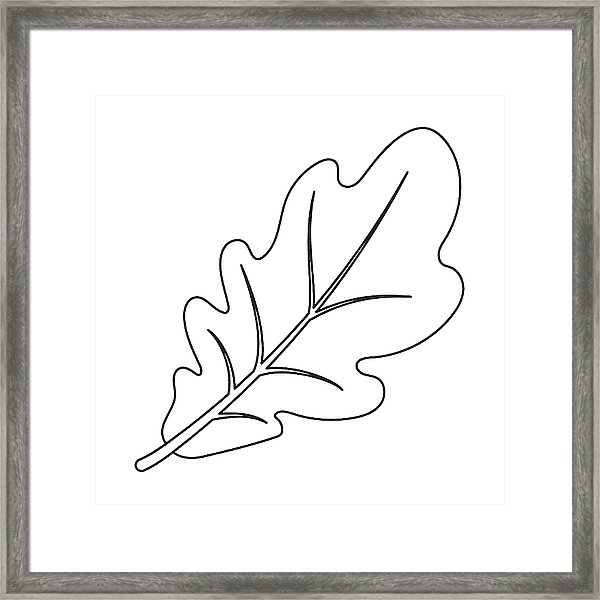 600x600 Oak Leaf Icon In Outline Style Isolated On White Background