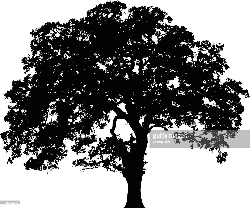 1024x852 Oak Tree Icon