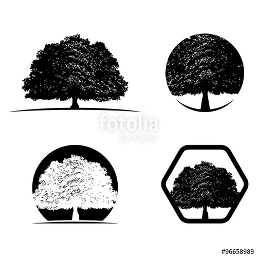 500x500 Oak Tree Silhouette Logo Icon Bundle Stock Image And Royalty Free