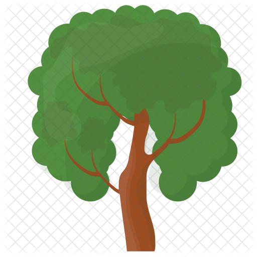 512x512 Oak Tree Icon Of Flat Style