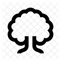 256x256 Oak Tree Icon Of Line Style