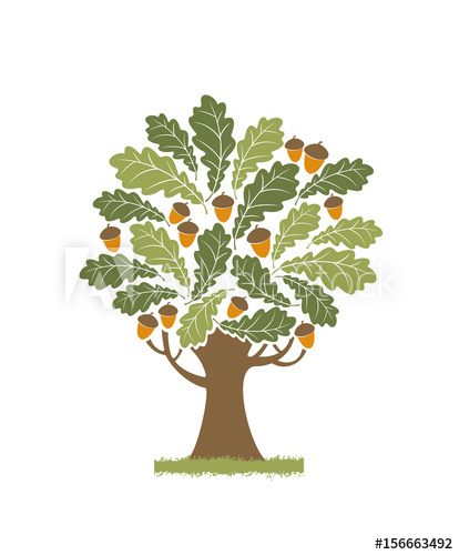 414x500 Oak Tree Icon