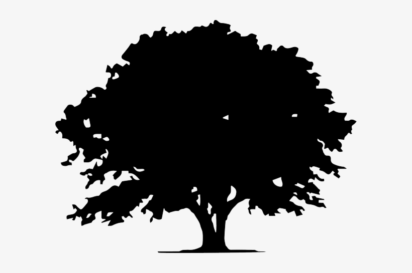 820x545 Transparent Oak Tree Icon Png Image Transparent Png Free