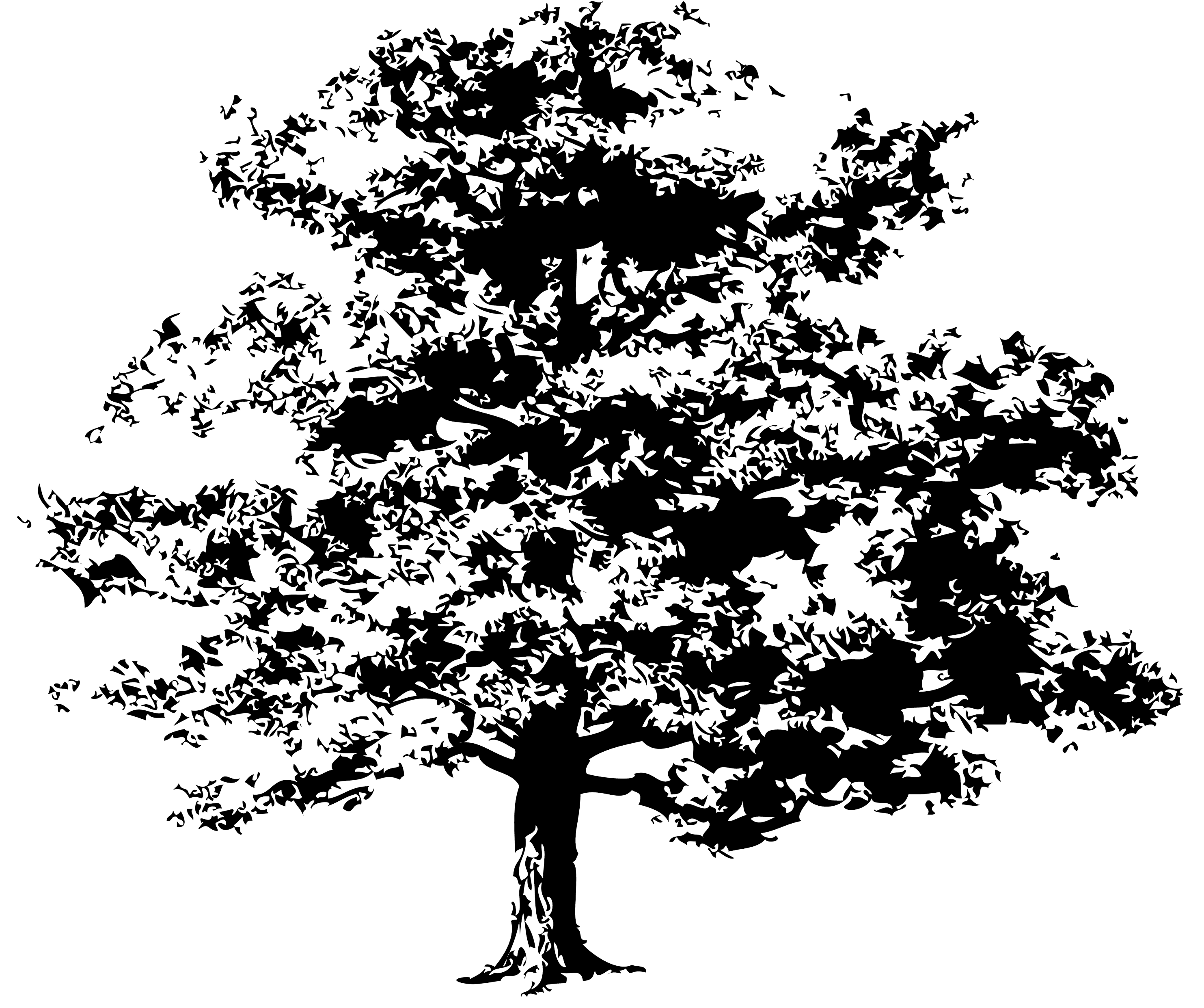 2966x2482 Hd Pine Trees Icon Transparent Png Vector