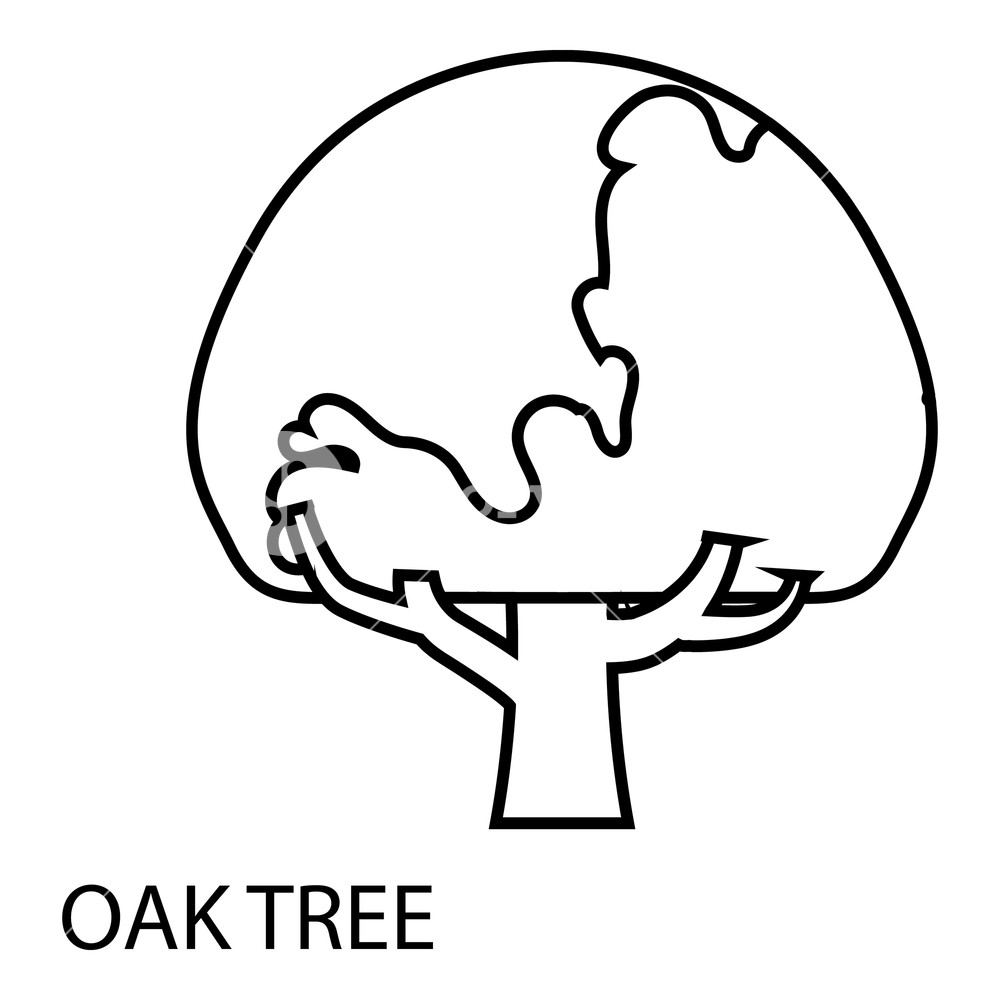 1000x1000 Oar Tree Icon Outline Illustration Of Oar Tree Vector Icon