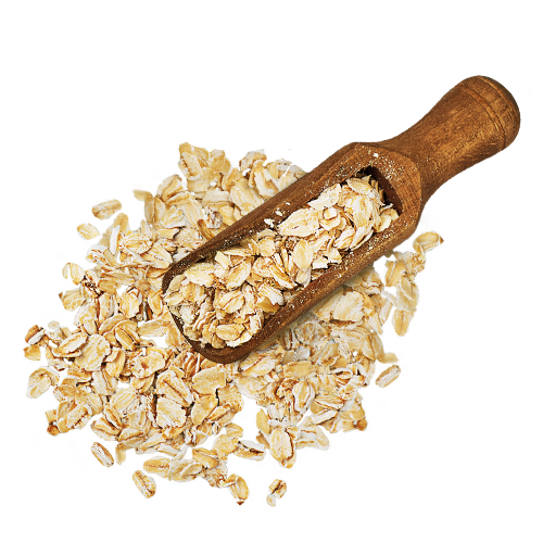 500x500 Organix Oatmeal Icon Castor Pollux Natural Petworks