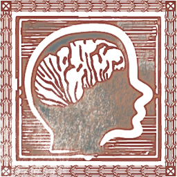 256x256 Intelligence