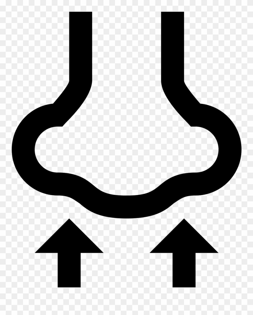 880x1095 Smelling Icon